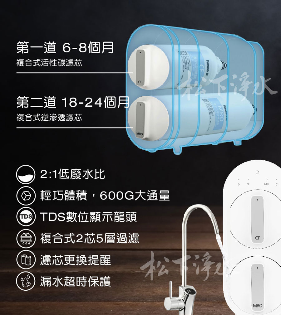 國際牌直輸ro 